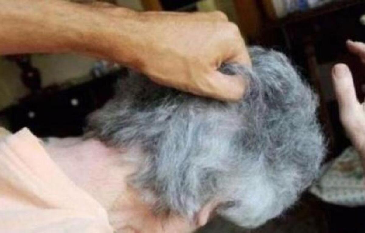 ACICASTELLO : PER DIECI ANNI PICCHIA LA NONNA E LE ESTORCE SOLDI, 31ENNE IN ARRESTO - 