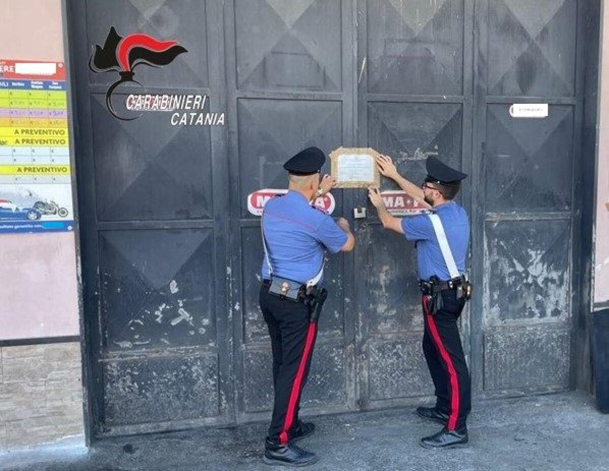 BIANCAVILLA. DUE DENUNCIATI NEL CORSO DI CONTROLLI ANTIABUSIVISMO ALLE ATTIVITÀ ARTIGIANE FANTASMA: UNO HA ANCHE INTASCATO 33 MILA EURO COME “BRACCIANTE AGRICOLO” - 