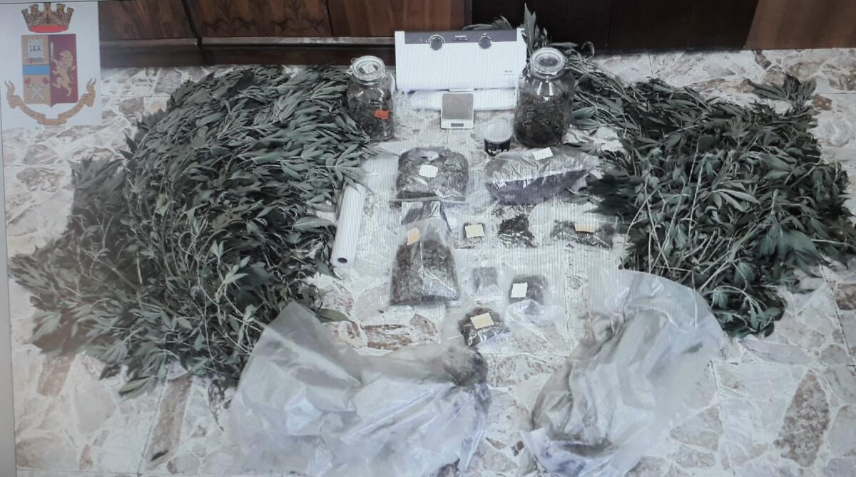 ACIREALE, UNA PIANTAGIONE DENTRO CASA: ARRESTATO - 