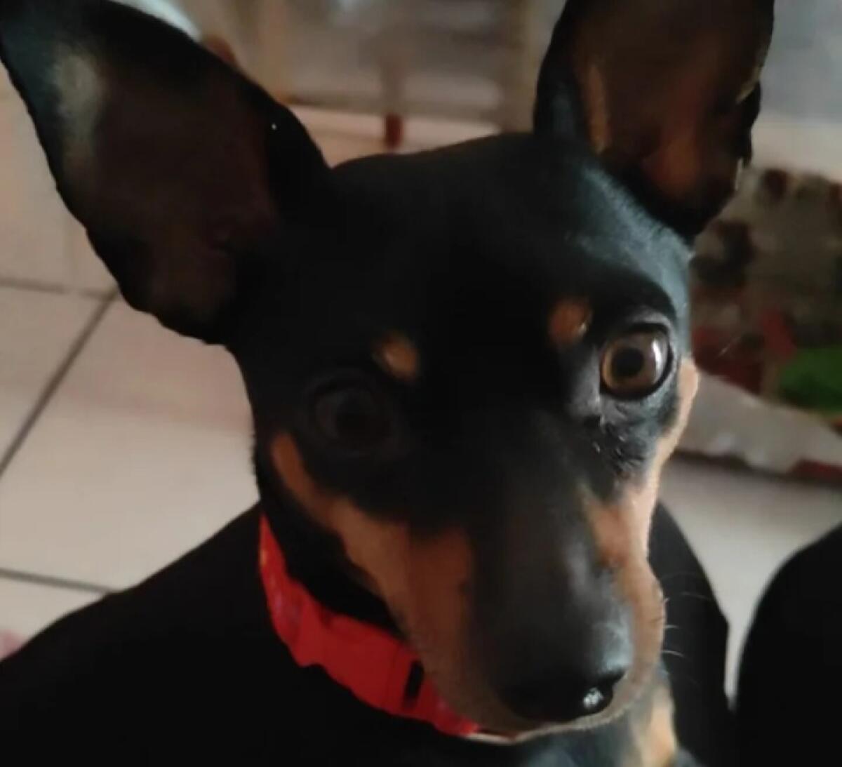 PATERNO'. AIUTATEMI A RITROVARE MIA - 