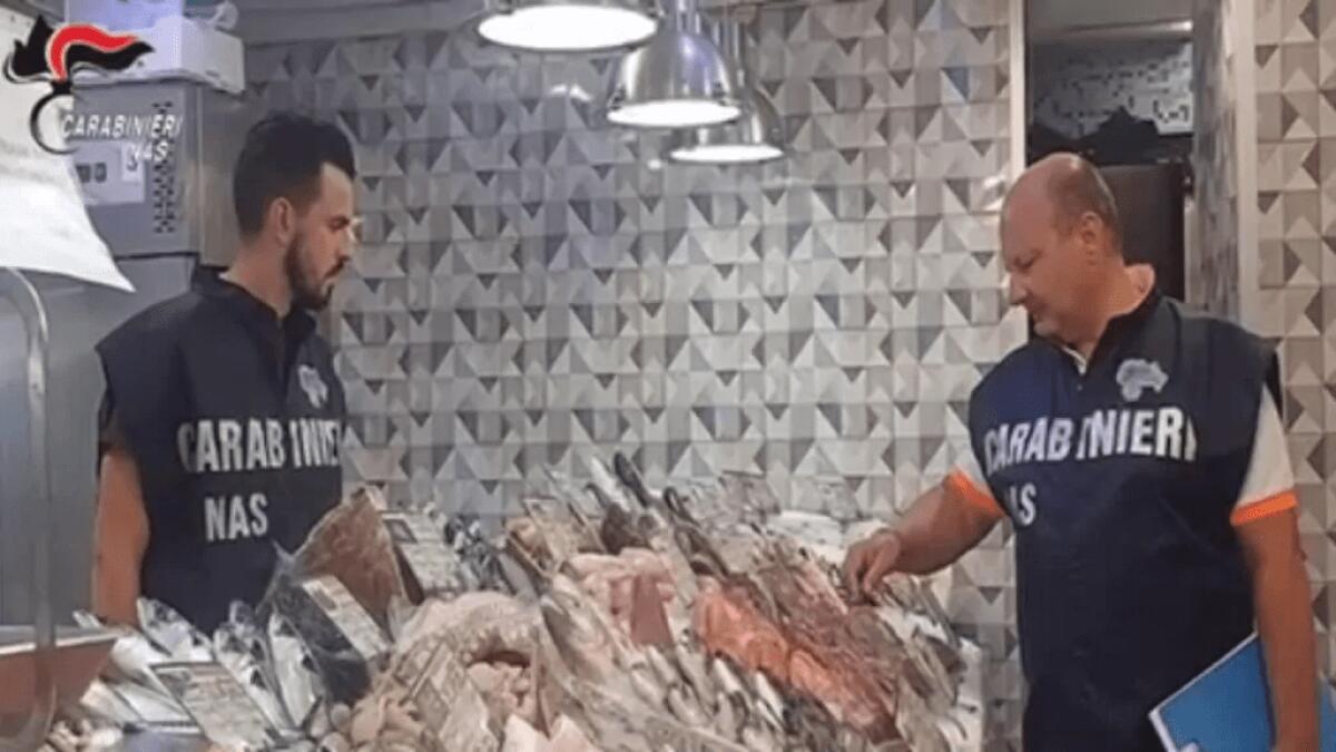 'NESSUNO CI HA LASCIATO LE PENNE SOLO PER GRAZIA DEL SIGNORE: NON MANGIARE PESCE CRUDO", INTERCETTAZIONI CHOC IN INDAGINE NAS DI BARI - 