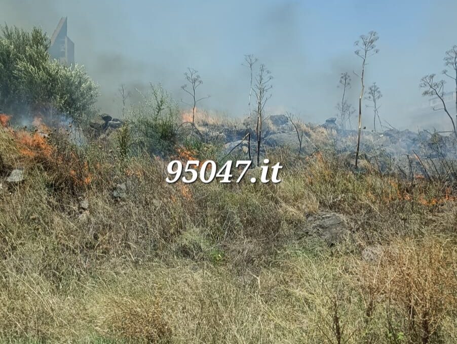 VASTO INCENDIO DI STERPAGLIE IN CORSO IN ZONA VIALE DEI PLATANI. LE FOTO