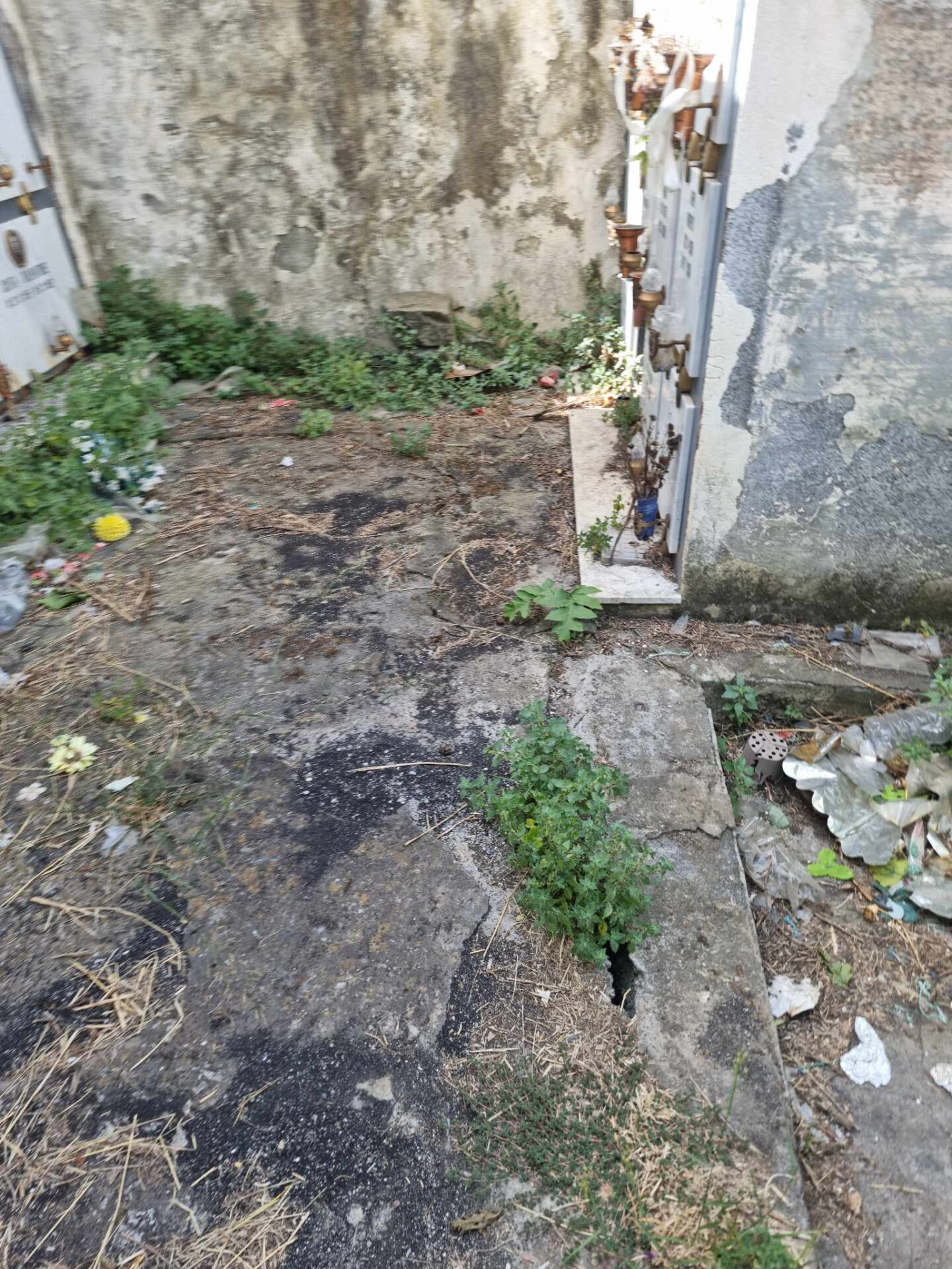 PATERNÒ: RICEVIAMO E PUBBLICHIAMO SEGNALAZIONE DI UNA NOSTRA LETTRICE SUL CIMITERO