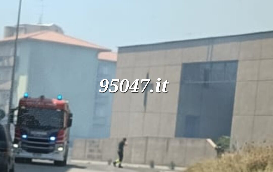 VASTO INCENDIO DI STERPAGLIE IN CORSO IN ZONA VIALE DEI PLATANI. LE FOTO
