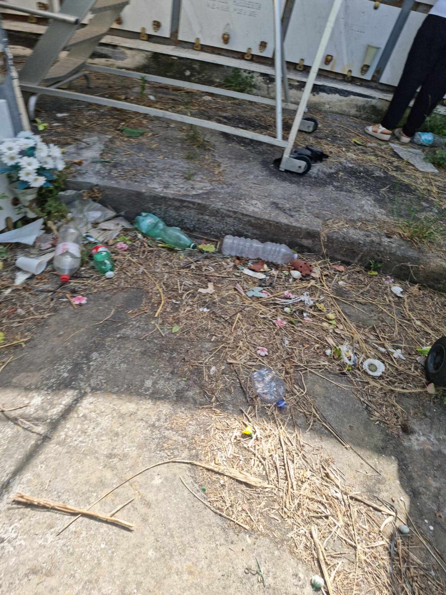 PATERNÒ: RICEVIAMO E PUBBLICHIAMO SEGNALAZIONE DI UNA NOSTRA LETTRICE SUL CIMITERO