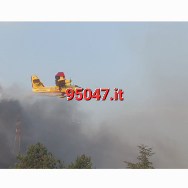 CONTINUANO A BRUCIARE I MONTI ROSSI A NICOLOSI A FUOCO: ADDIO PINETA