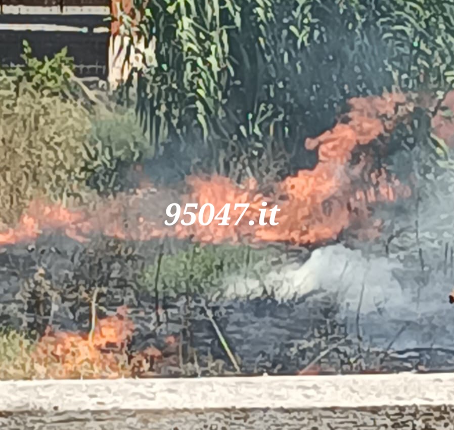 PATERNÒ: INCENDIO DI STERPAGLIE IN ZONA CORSO ITALIA – DENSA COLONNA DI FUMO GRIGIO