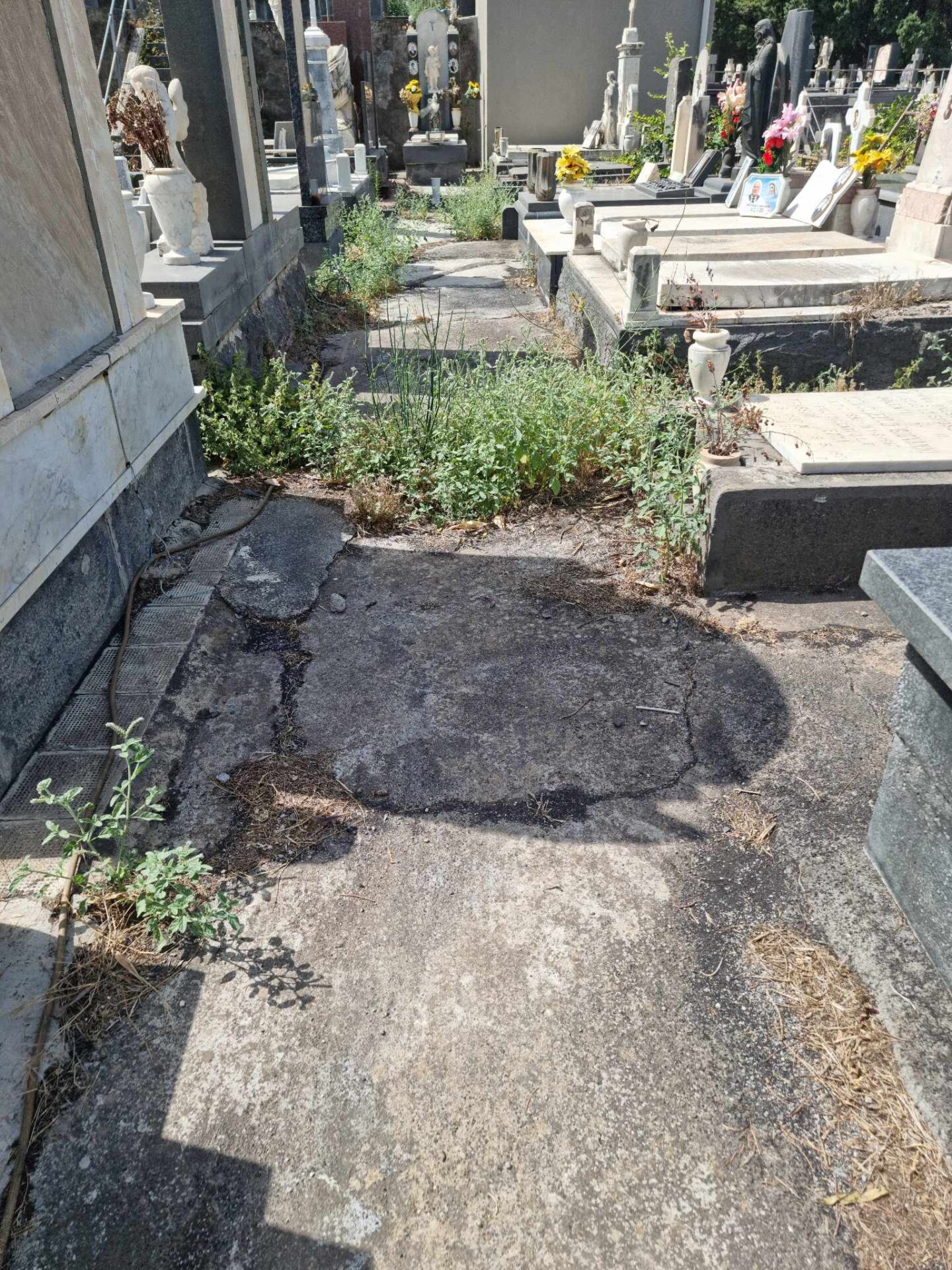 PATERNÒ: RICEVIAMO E PUBBLICHIAMO SEGNALAZIONE DI UNA NOSTRA LETTRICE SUL CIMITERO