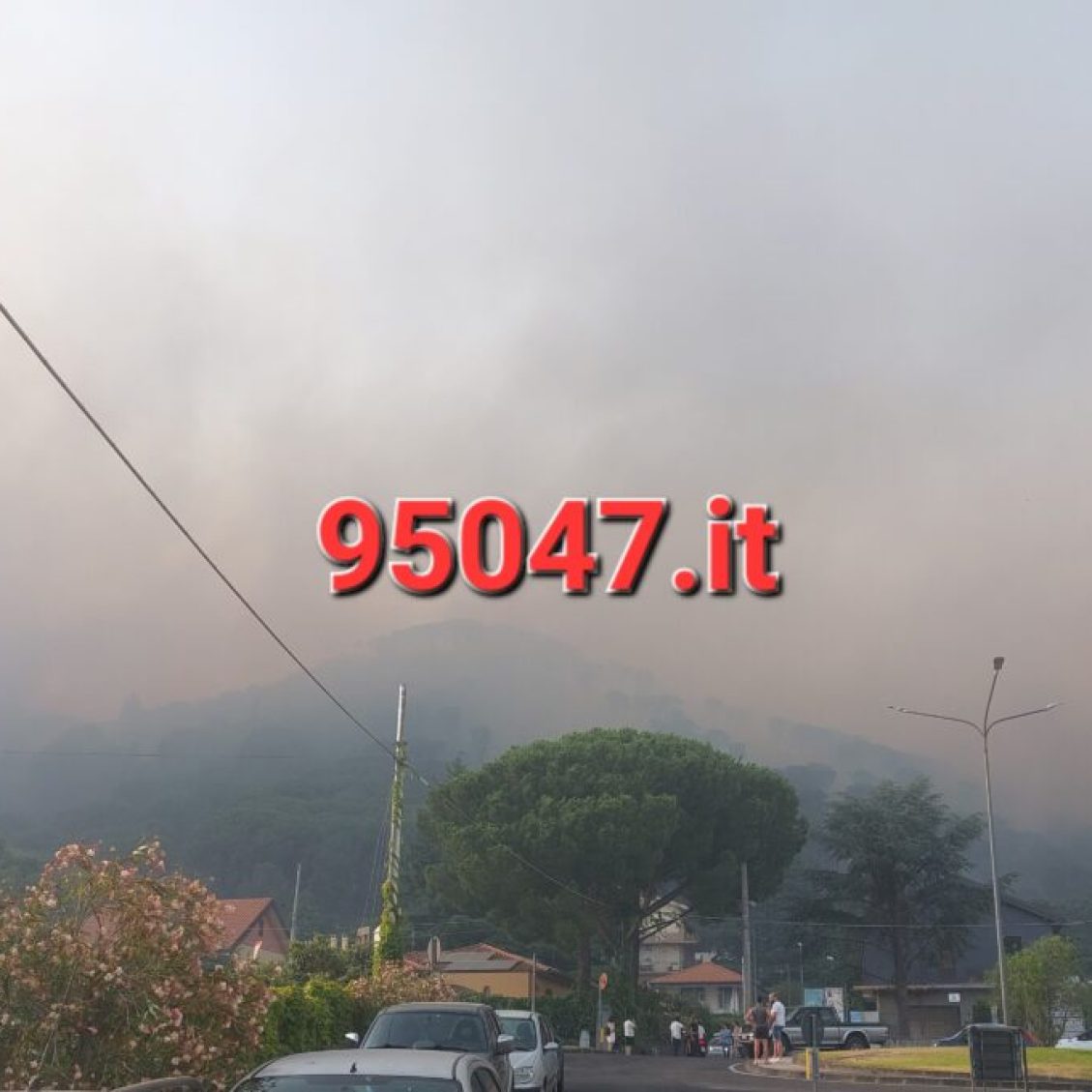 CONTINUANO A BRUCIARE I MONTI ROSSI A NICOLOSI A FUOCO: ADDIO PINETA