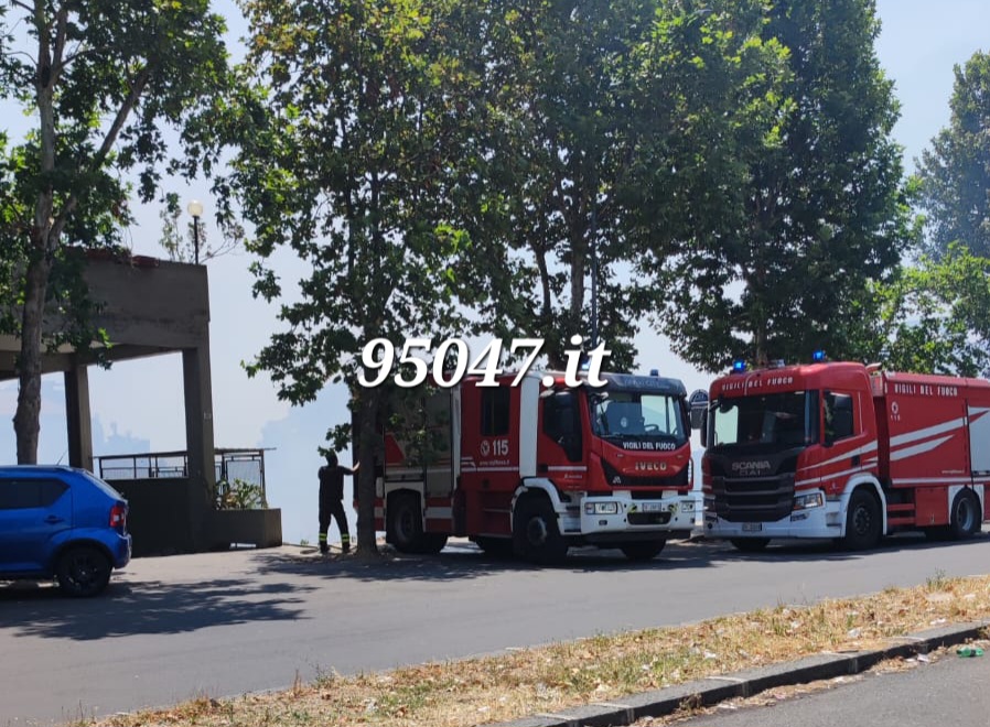 VASTO INCENDIO DI STERPAGLIE IN CORSO IN ZONA VIALE DEI PLATANI. LE FOTO