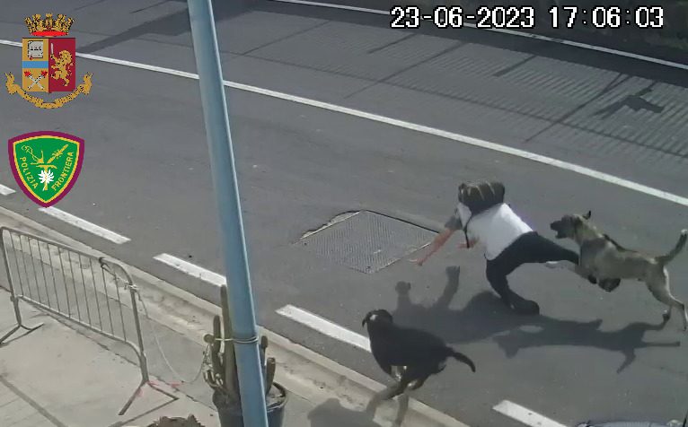 CATANIA. CANI AGGREDISCONO UN UOMO, DENUNCIATA LA RAPPRESENTANTE LEGALE DI UN CANTIERE NAUTICO