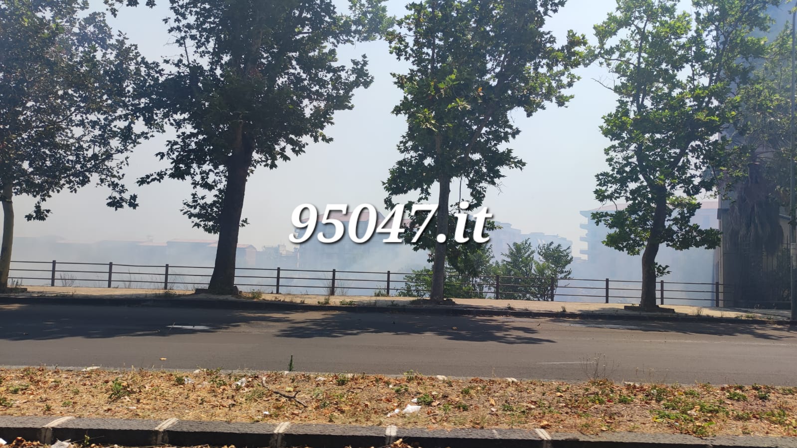 VASTO INCENDIO DI STERPAGLIE IN CORSO IN ZONA VIALE DEI PLATANI. LE FOTO