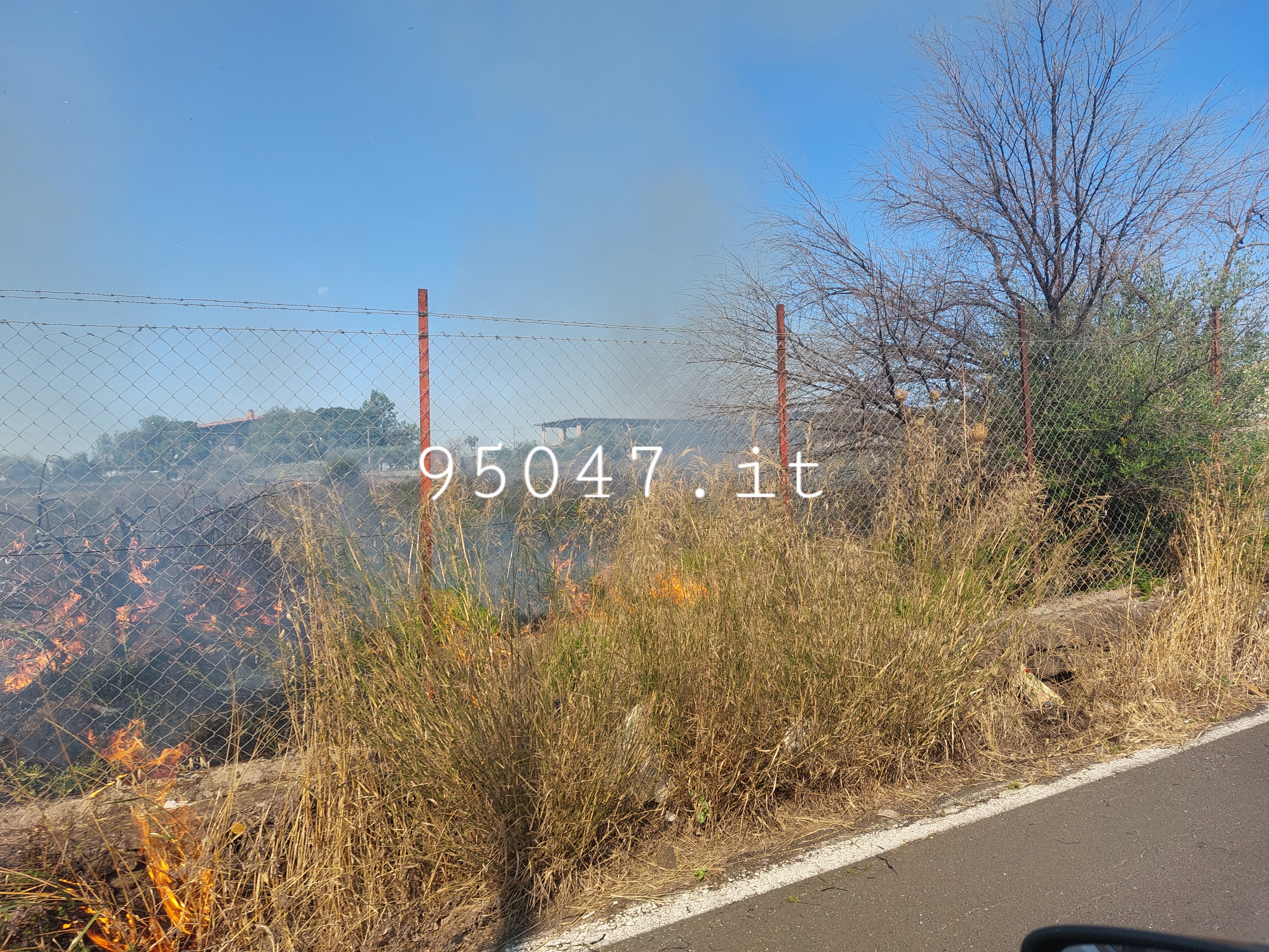 VASTO INCENDIO DI STERPAGLIE IN CORSO IN ZONA PALAZZOLO. LE FOTO