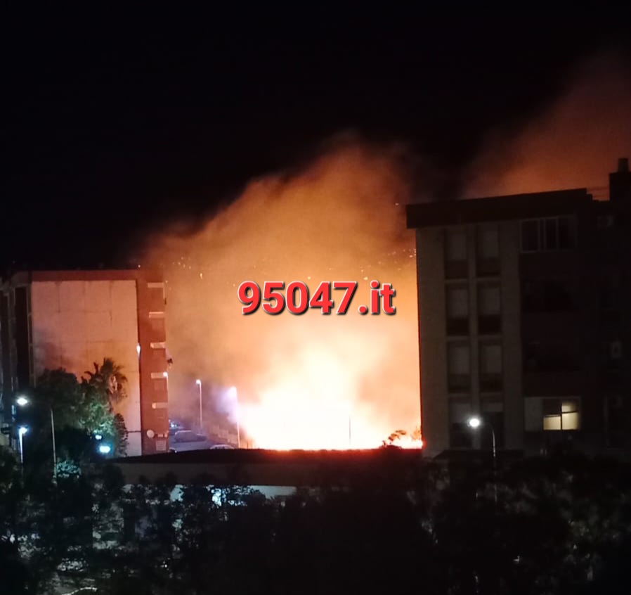 VASTO INCENDIO Di STERPAGLIE IN CORSO AL VIALE DEI PLATANI VICINO ALLE CASE, PAURA PER I RESIDENTI