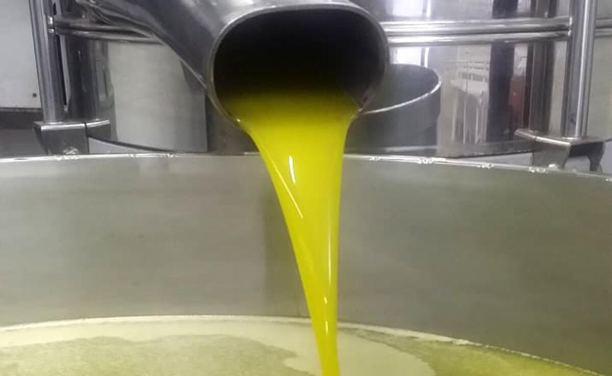 BENEFICIARI DI DETENZIONE ALTERNATIVA, MA ASSUNTI IN MANIERA FITTIZIA: SCOPERTO UN 31ENNE A PATERNO' PRESSO UN FRANTOIO - 