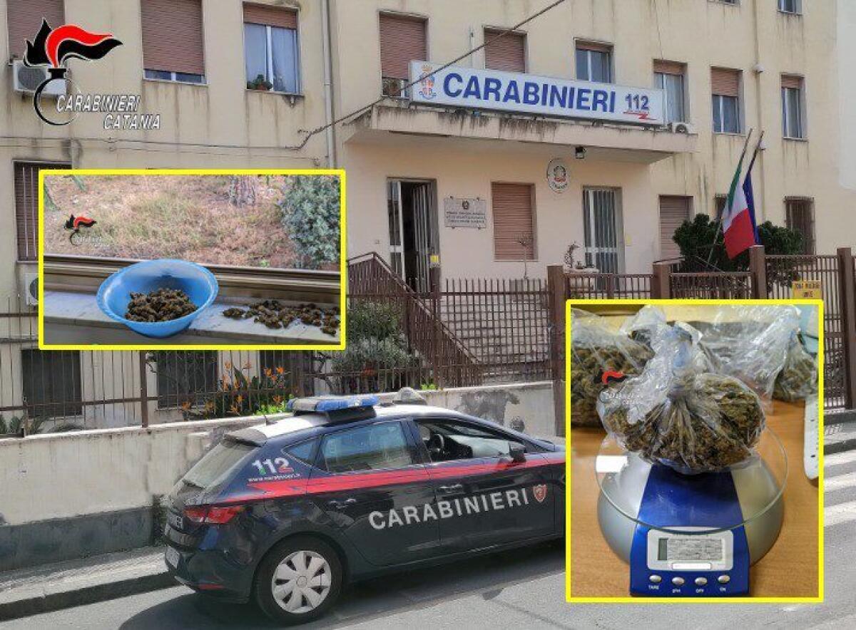 Giarre. Spaccia in casa ma viene beccato comunque: arrestato - 
