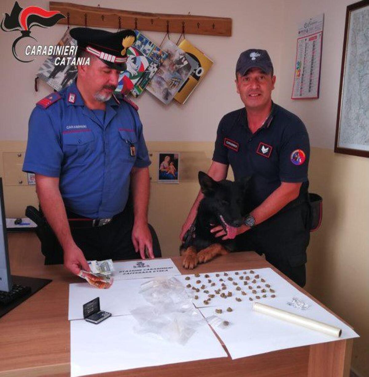 ZAFFERANA ETNEA . ARRESTATI DUE FRATELLI PUSHER CON L’AUSILIO DEL CANE DEI CINOFILI “RILEY” - 