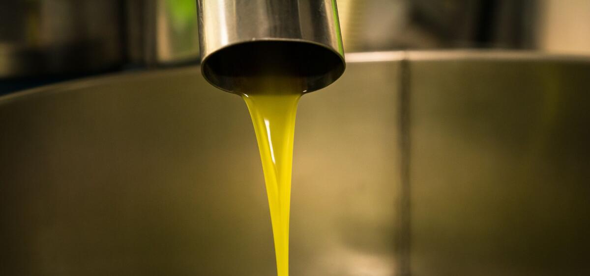 BENEFICIARI DI DETENZIONE ALTERNATIVA, MA ASSUNTI IN MANIERA FITTIZIA: SCOPERTO UN 31ENNE PRESSO UN FRANTOIO DI PATERNO' - 