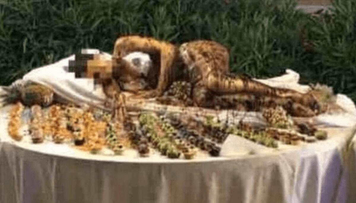 MODELLA RICOPERTA DI CIOCCOLATO "SERVITA" AL BUFFET: BUFERA SOCIAL SUL NOTO HOTEL IN SARDEGNA - 