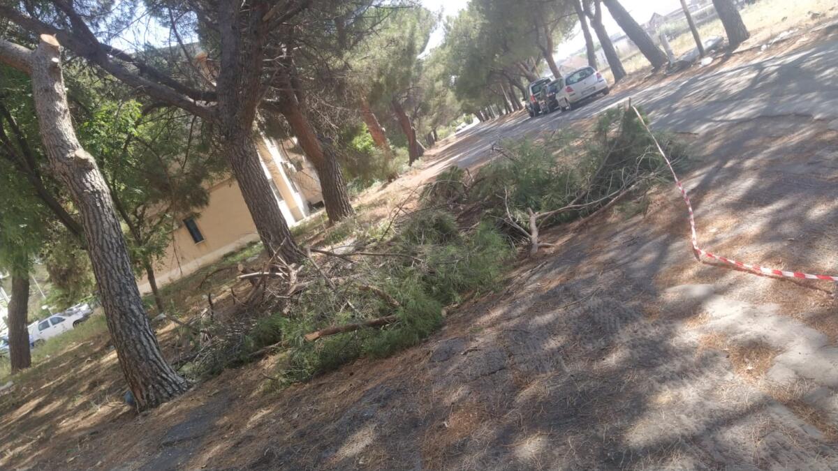 LA SEGNALAZIONE DI UN NOSTRO LETTORE "ZONA PIOPPI, SIAMO ABBANDONATI" - 