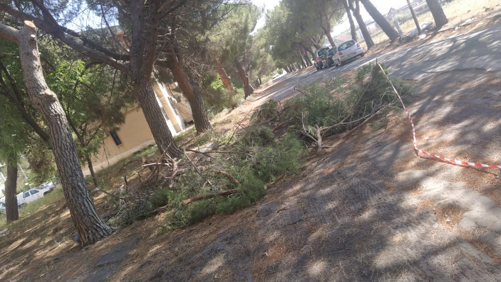 LA SEGNALAZIONE DI UN NOSTRO LETTORE "ZONA PIOPPI, SIAMO ABBANDONATI"