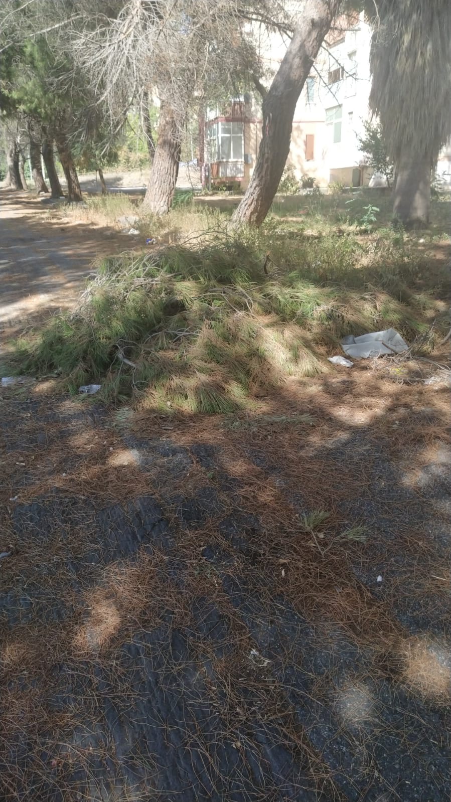 LA SEGNALAZIONE DI UN NOSTRO LETTORE "ZONA PIOPPI, SIAMO ABBANDONATI"