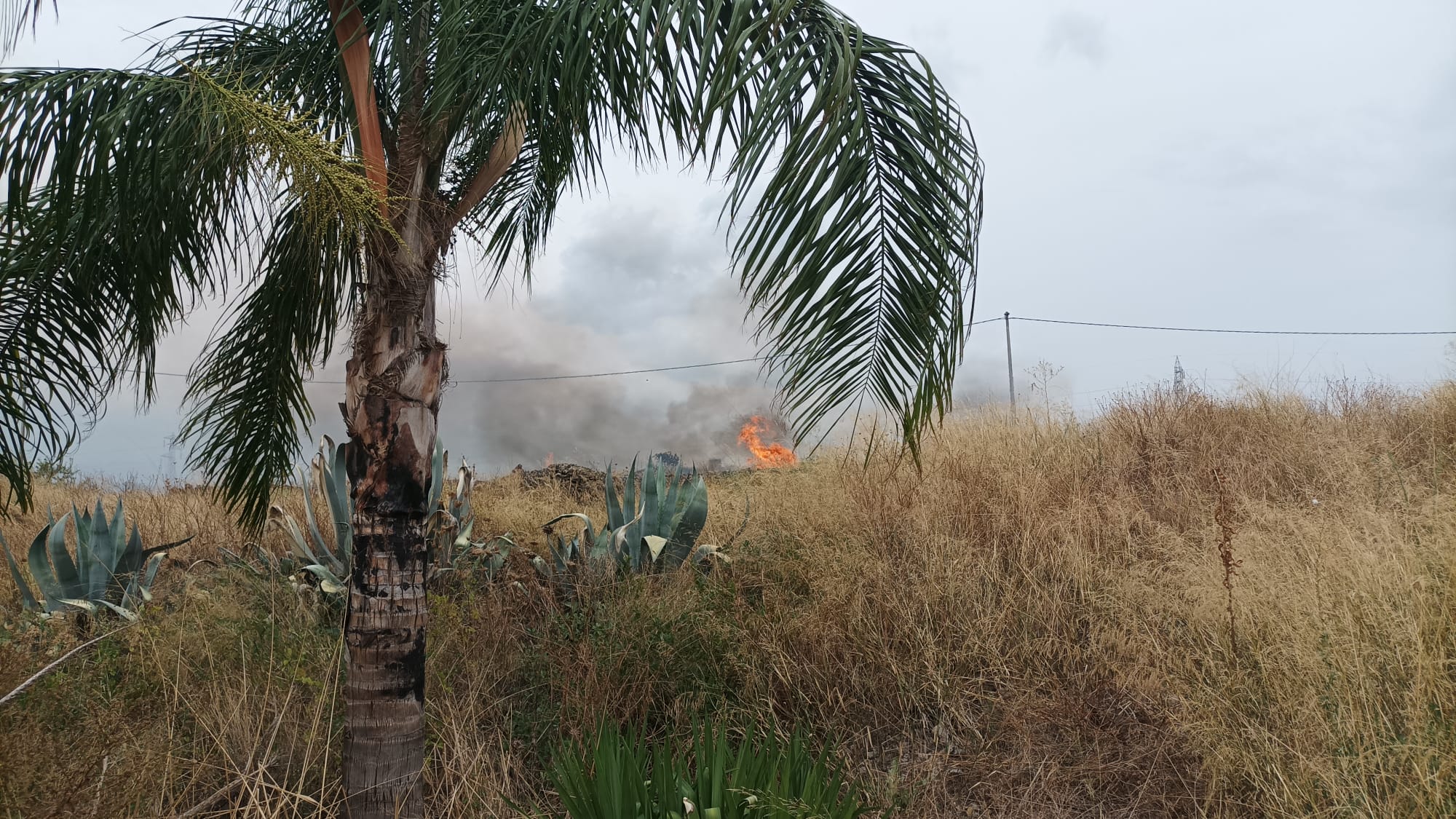 PATERNÒ,  INCENDIONELL’AREA TRA IL VIALE DEI PLATANI E LA VIA LIBERTA'