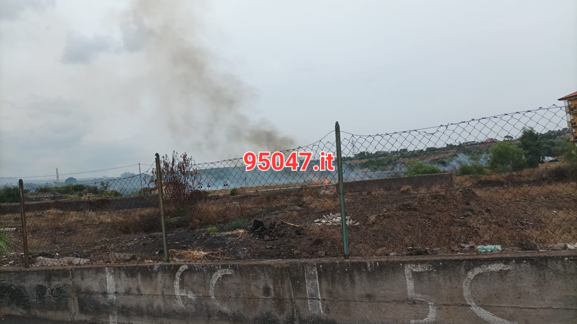 PATERNÒ,  INCENDIONELL’AREA TRA IL VIALE DEI PLATANI E LA VIA LIBERTA'