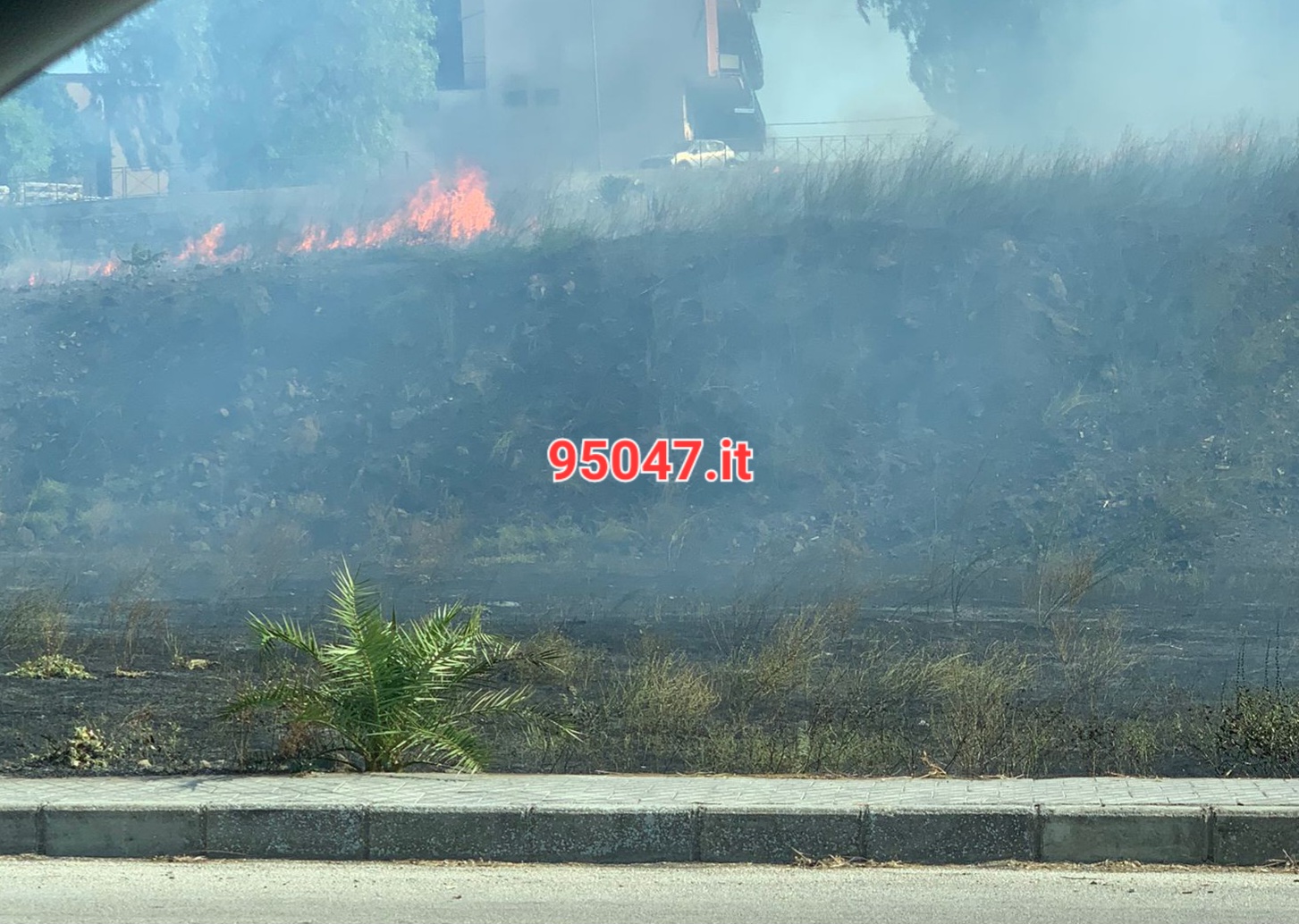 PATERNO’: DOPPIO INCENDIO IN CITTÀ: A FUOCO STERPAGLIE AL CORSO ITALIA ED A SCHETTINO