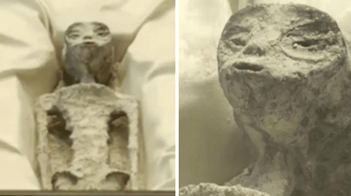 PRESUNTI CADAVERI ALIENI ESPOSTI NELL'AULA DEL CONGRESSO MESSICANO - 