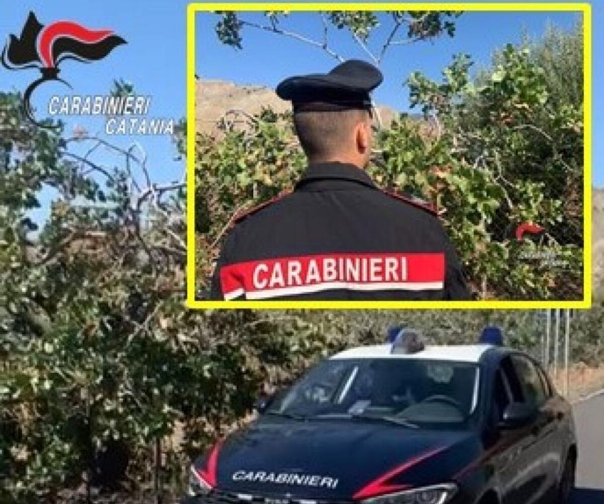 CATANIA, MULTE PER GUIDA SENZA CASCO E “STRETTA” AI “FURBETTI” DELL’ENERGIA ELETTRICA - 