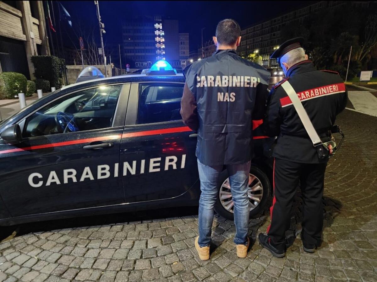 CARABINIERI DEL NAS DI CATANIA SEQUESTRANO 8.000 KG DI ALIMENTI E SCOPRONO BLATTE NELLE CUCINE DI UNA TRATTORIA - 