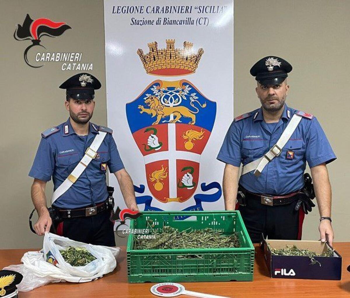 BIANCAVILLA. NASCONDEVA LA MARIJUANA SU UN TERRAZZOADIACENTE ALLA PROPRIA ABITAZIONE: ARRESTATO DAI CARABINIERI - 