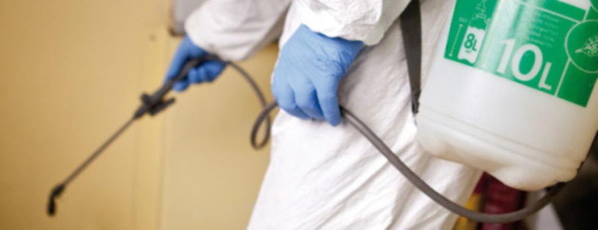 PATERNO'. DISINFESTAZIONE NOTTURNA IL 6 OTTOBRE: «CHIUDETE LE FINESTRE E NON LASCIATE ALL’ESTERNO GLI ANIMALI DOMESTICI» - 