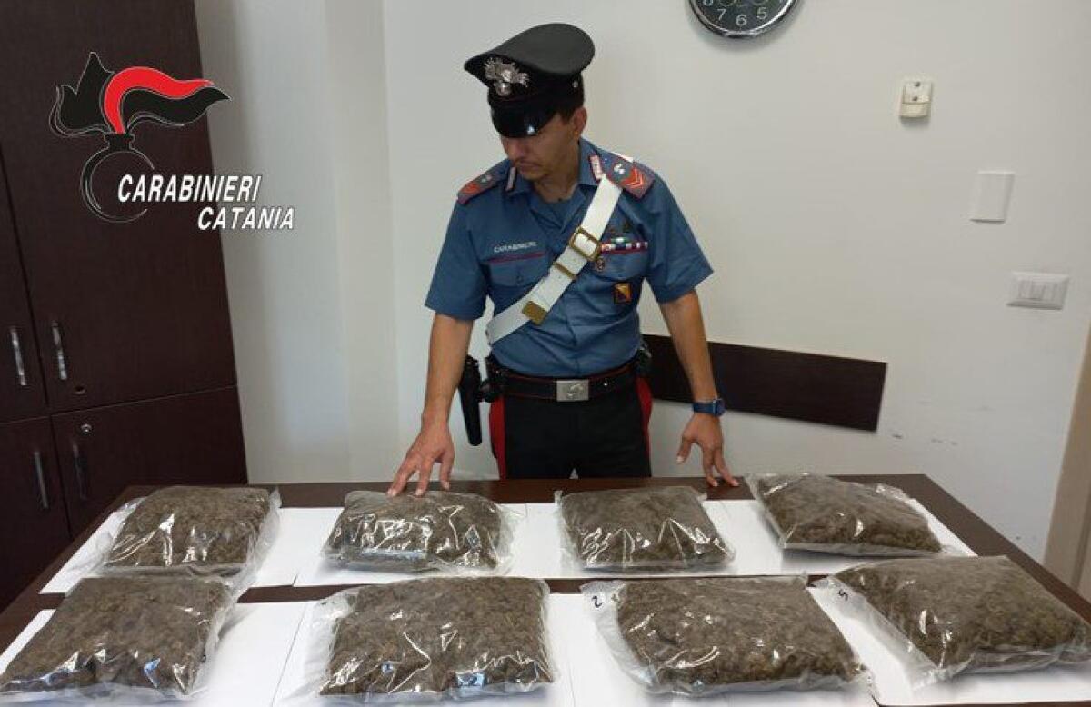SCORDIA. NASCONDEVA 4 CHILI DI MARIJUANA GIÀ ESSICCATA NEL BAGAGLIAIO DELL’AUTO, ARRESTATO - 