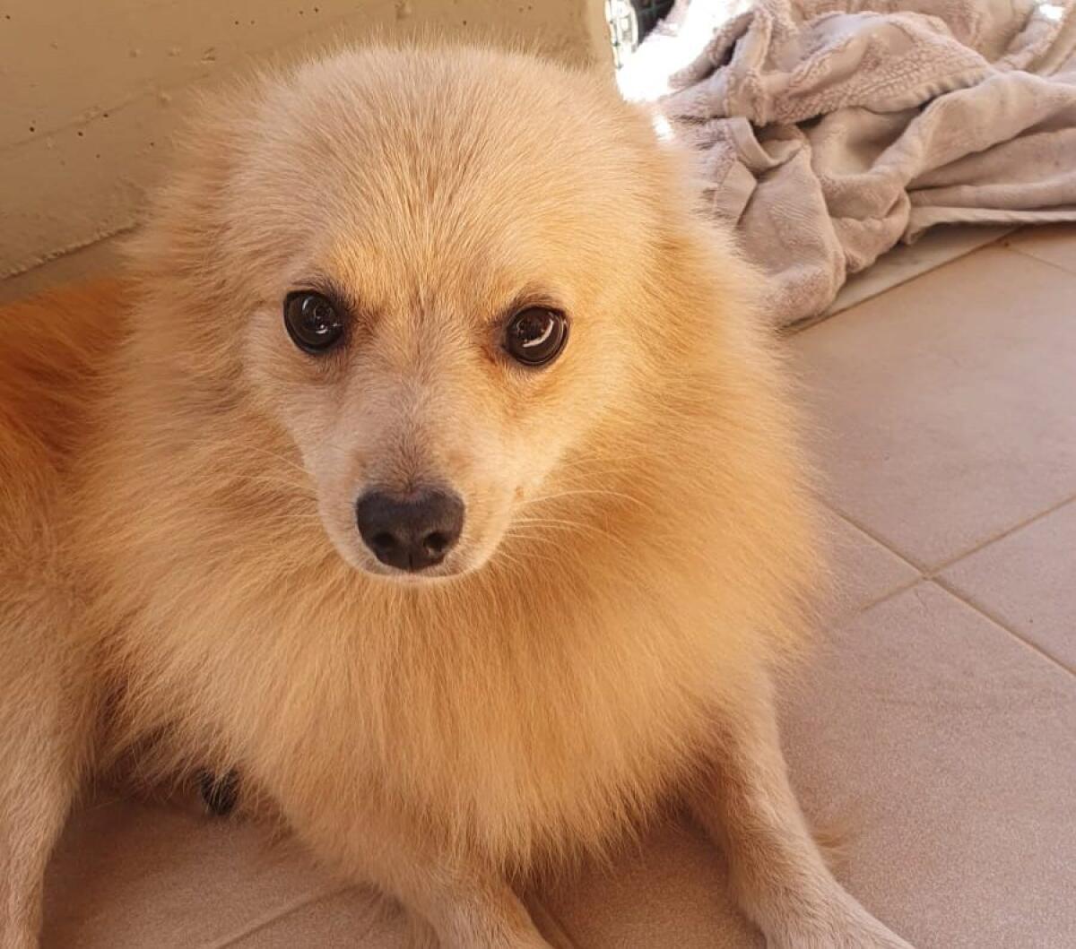 PATERNO' QUALCUNO LO RICONOSCE?? - 