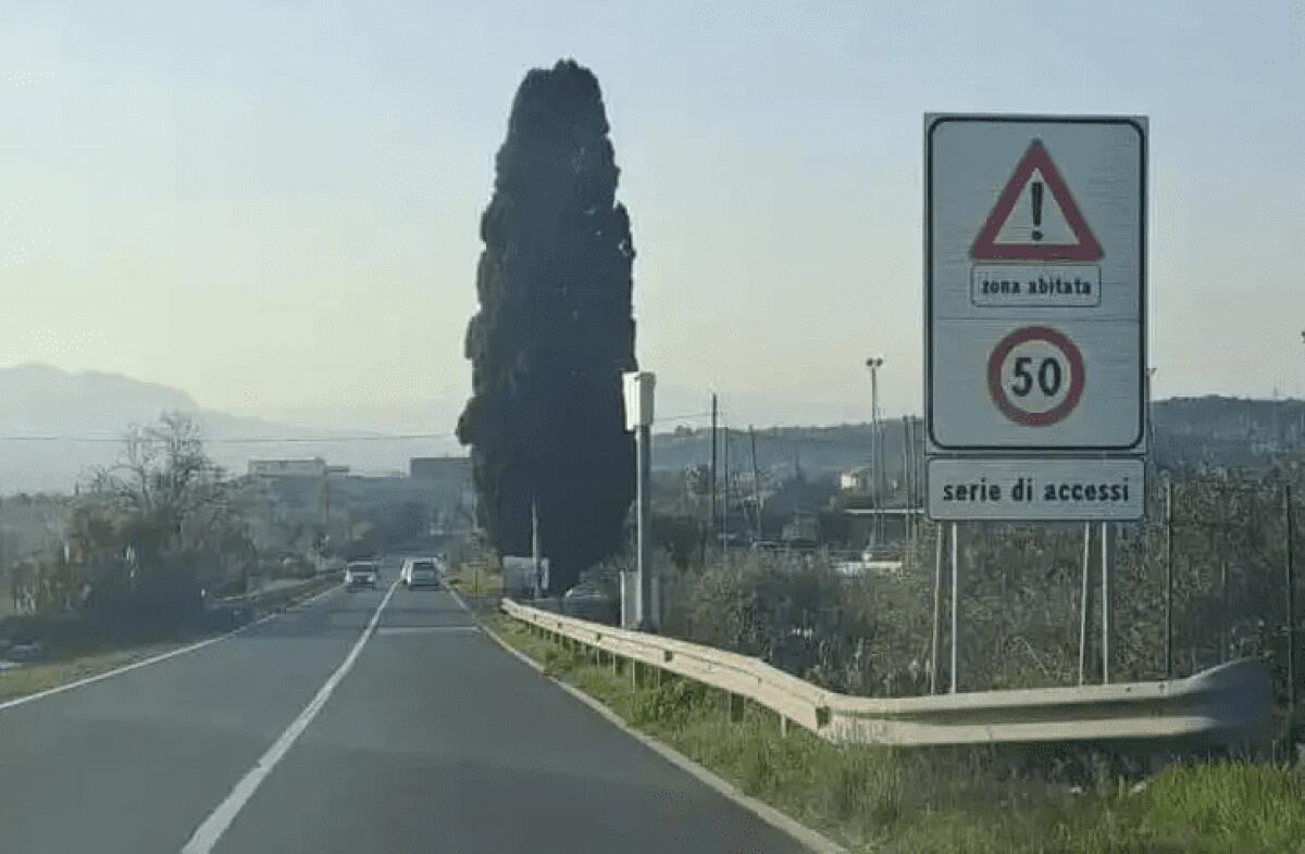 AUTOVELOX SULLA VECCHIA SS121: QUASI 12.000 MULTE E SANZIONI PER UN MILIONE E 200 MILA EURO IN TRE MESI - 