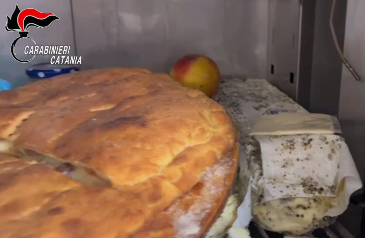 IL PANIFICIO DEGLI “ORRORI” A CATANIA: BLATTE, MUFFA E… DROGA - 