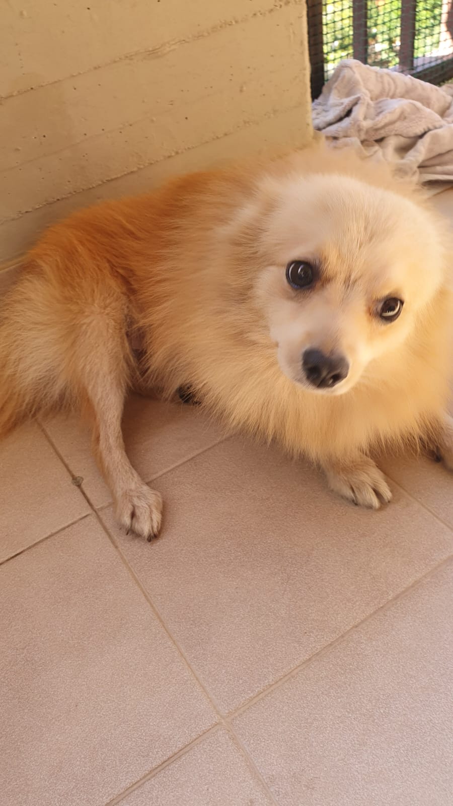 PATERNO' QUALCUNO LO RICONOSCE??