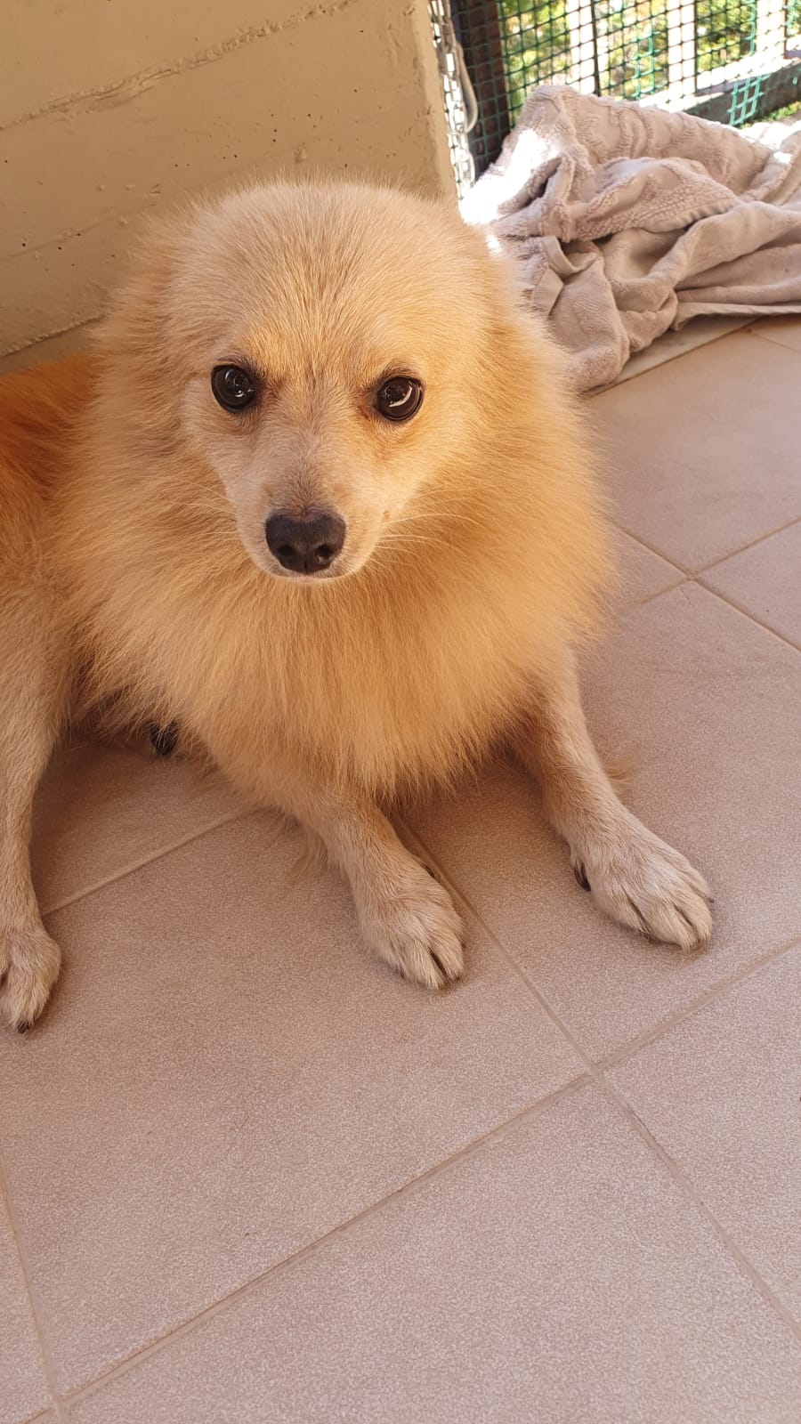 PATERNO' QUALCUNO LO RICONOSCE??