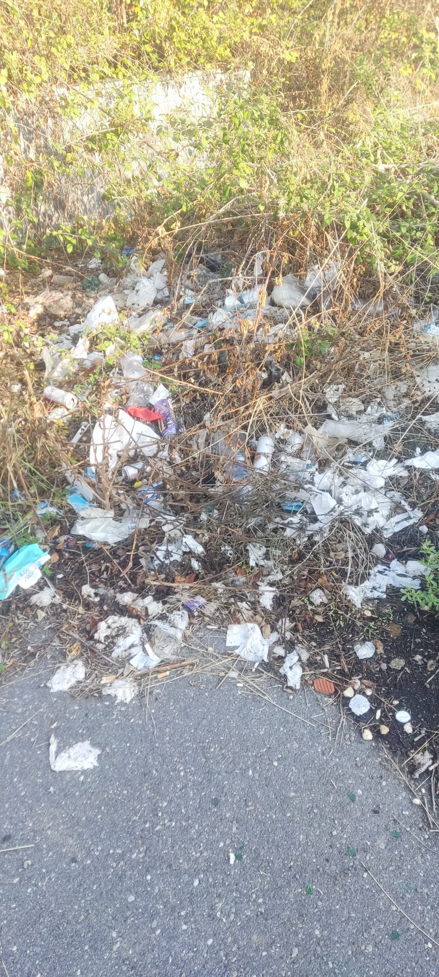 SAN GIOVANNI LA PUNTA: SEGNALATA DISCARICA ABUSIVA VICINO ISTITUTO COMPRENSIVO