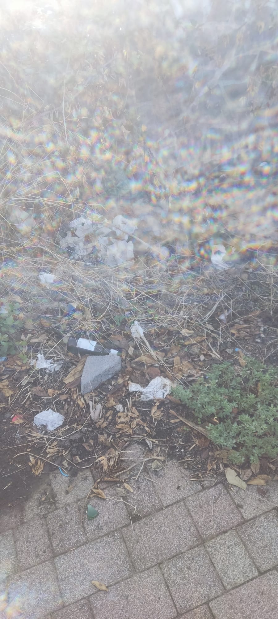 SAN GIOVANNI LA PUNTA: SEGNALATA DISCARICA ABUSIVA VICINO ISTITUTO COMPRENSIVO