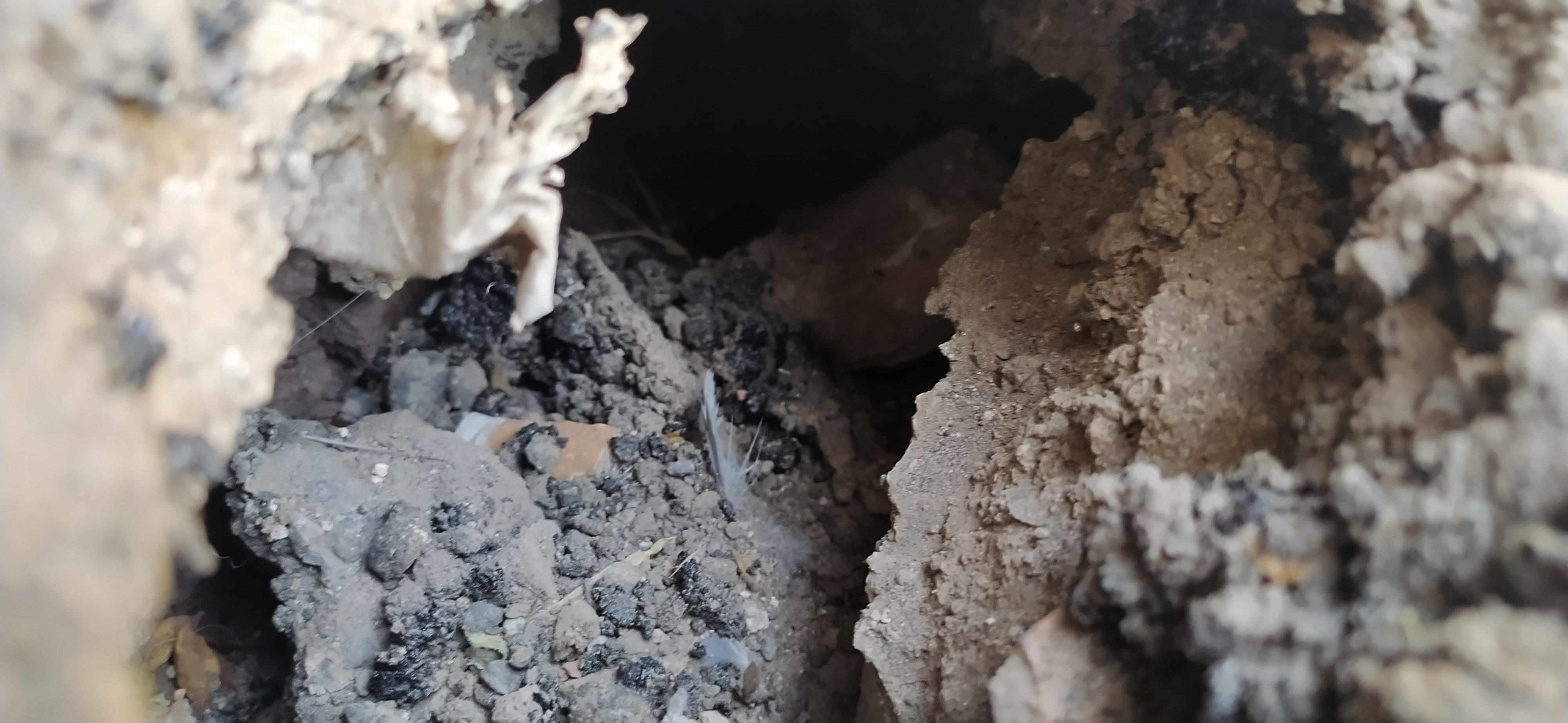 SEGNALAZIONE UTENTI: PROBLEMI CON IL TOMBINO IN VIA ESTONIA