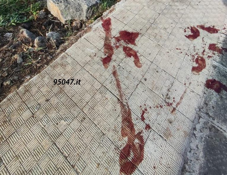 PATERNO'. POZZE DI SANGUE IN ZONA SCALA VECCHIA. E' MISTERO