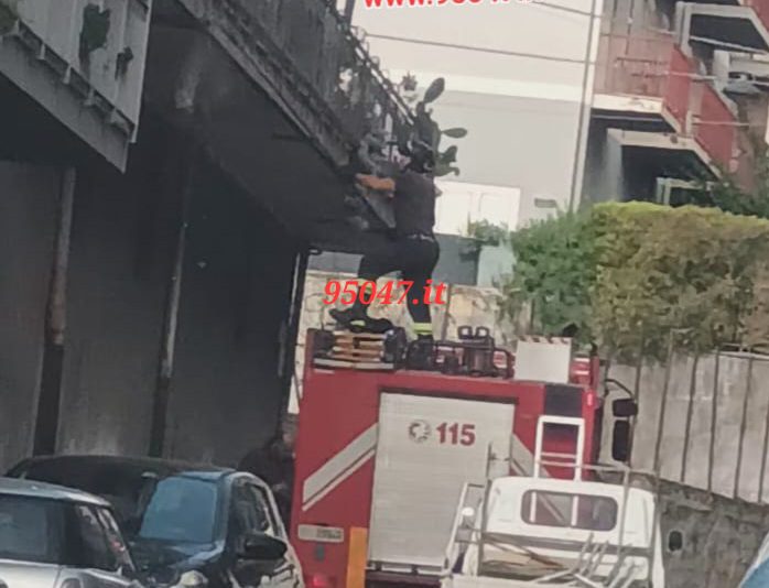PATERNO’: CADONO CALCINACCI DAL BALCONE IN VIA MALTA, INTERVENTO DEI VIGILI DEL FUOCO