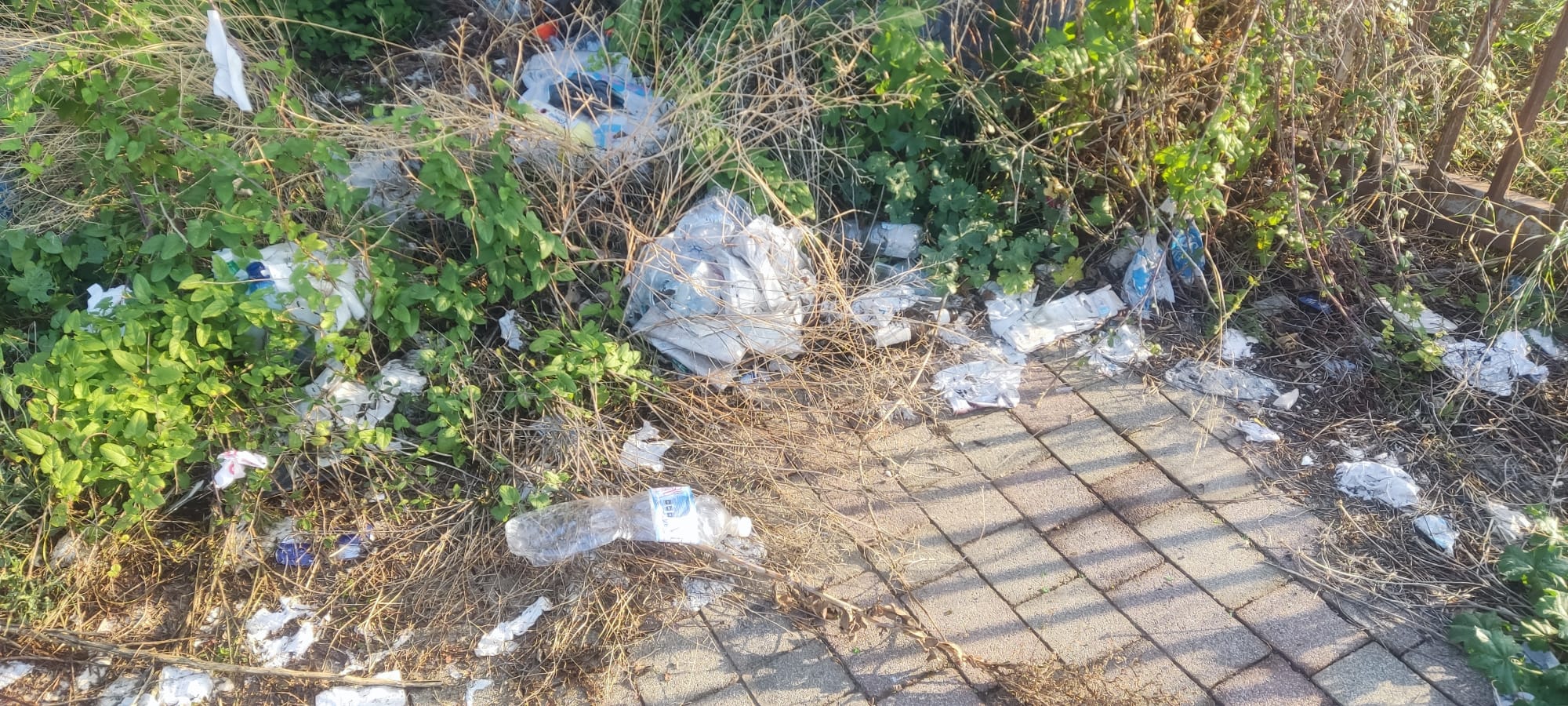 SAN GIOVANNI LA PUNTA: SEGNALATA DISCARICA ABUSIVA VICINO ISTITUTO COMPRENSIVO