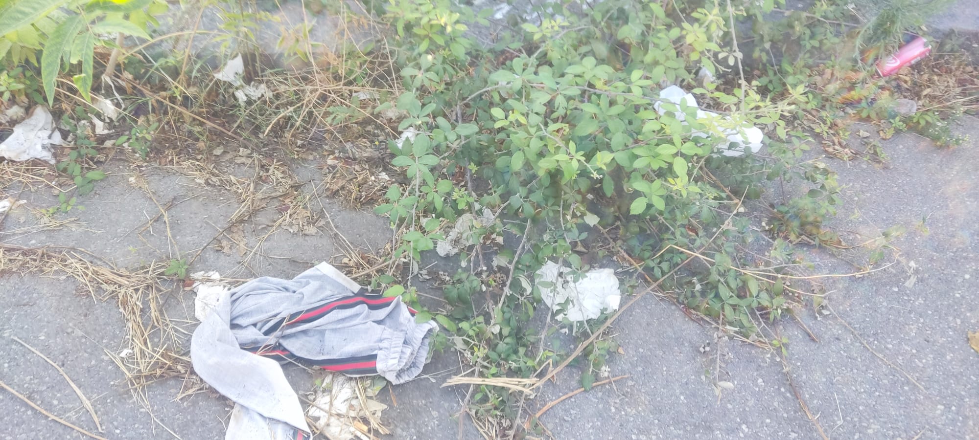 SAN GIOVANNI LA PUNTA: SEGNALATA DISCARICA ABUSIVA VICINO ISTITUTO COMPRENSIVO