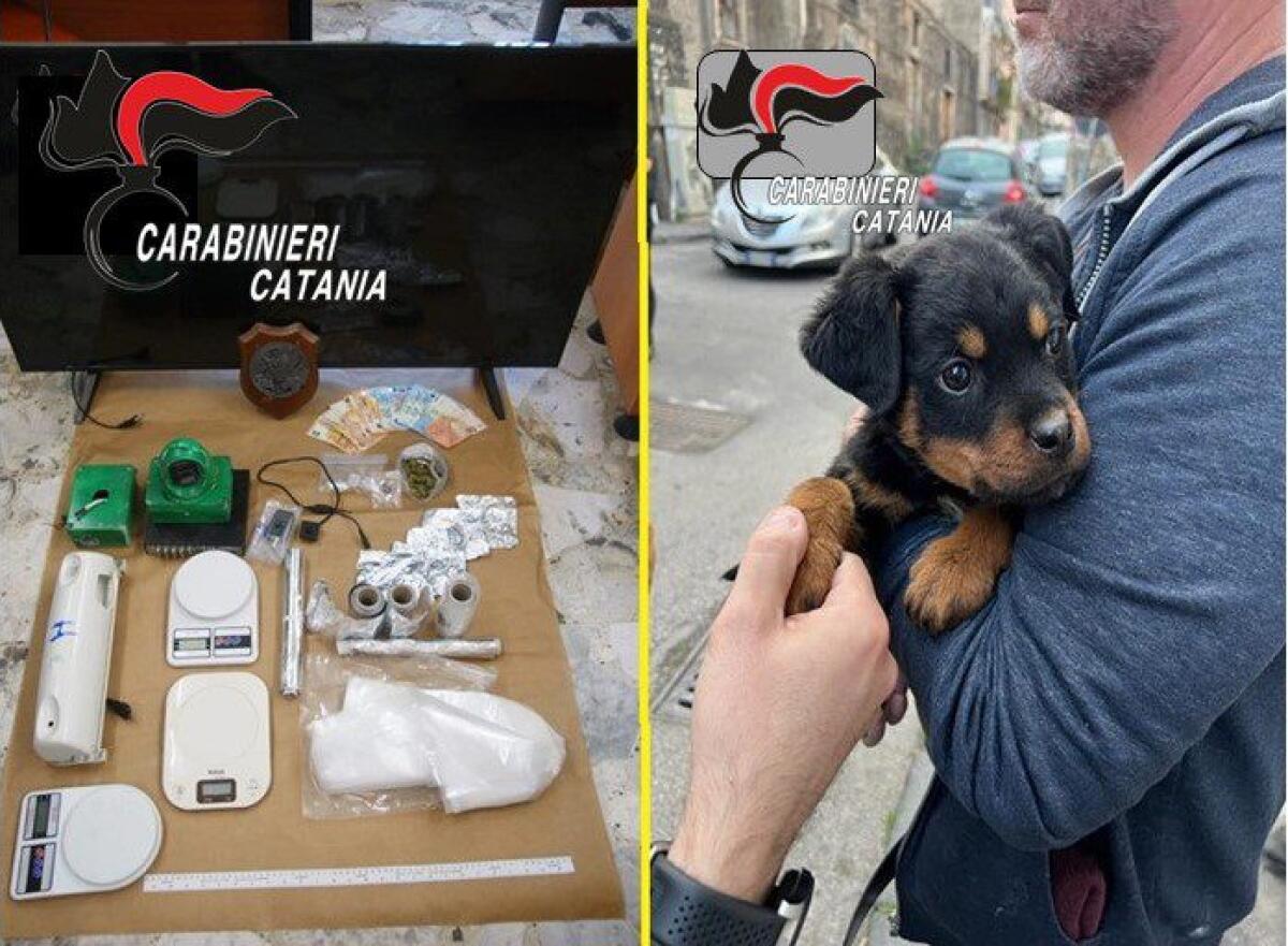 CATANIA. ARRESTATI DAI CARABINIERI 4 SPACCIATORI, TRINCERATI NELLO STESSO FORTINO DELLA DROGA DI SAN CRISTOFORO - 