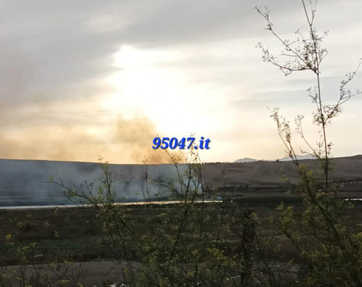 INCENDIO DI STERPAGLIE A PONTE BARCA: INTERVENTO URGENTE DEI VIGILI DEL FUOCO - 