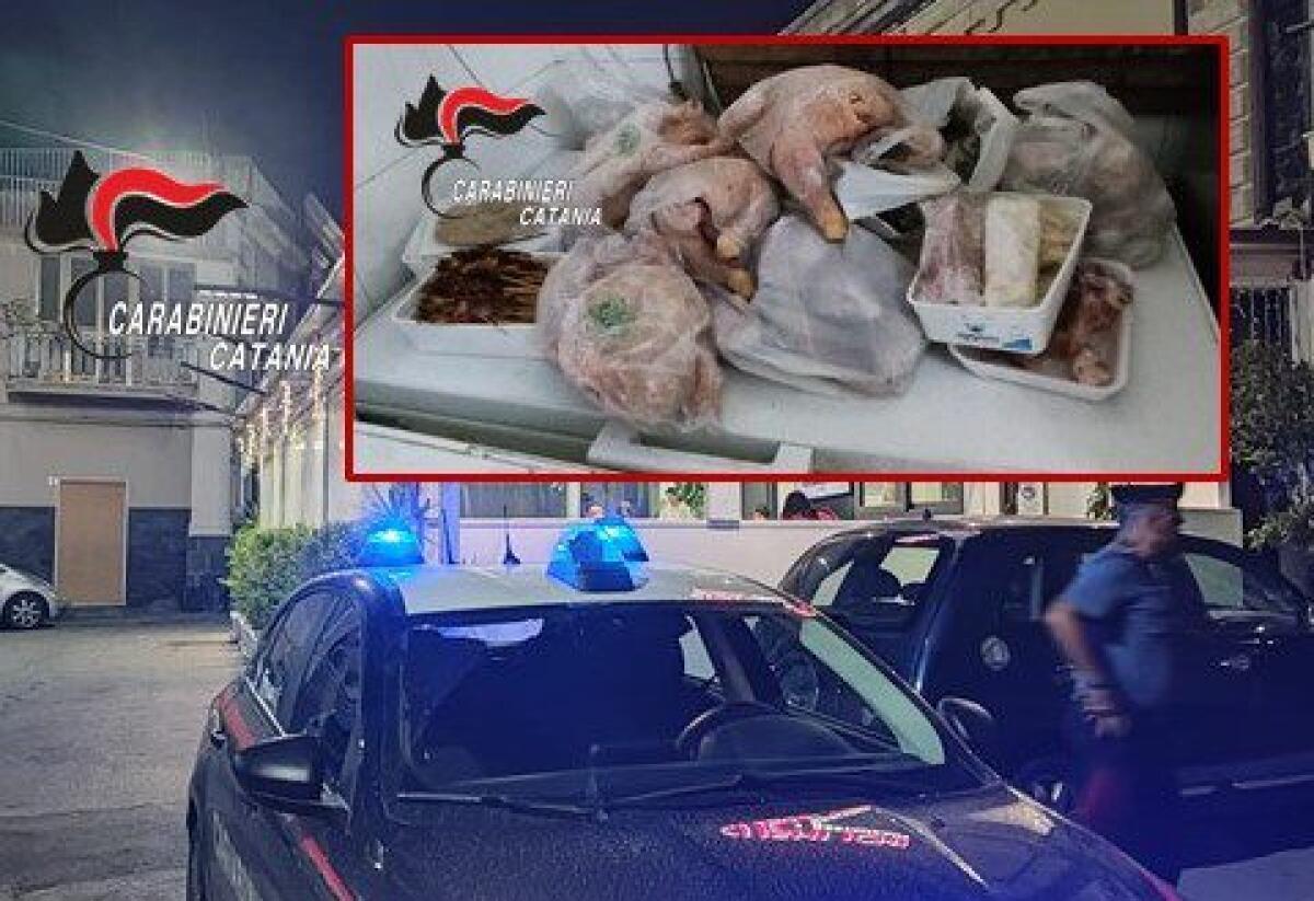 BLATTE E PESCE SENZA ETICHETTE: CHIUSO RISTORANTE DI SUSHI A RIPOSTO - 